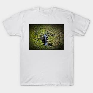 A Treasure Through The Trees T-Shirt